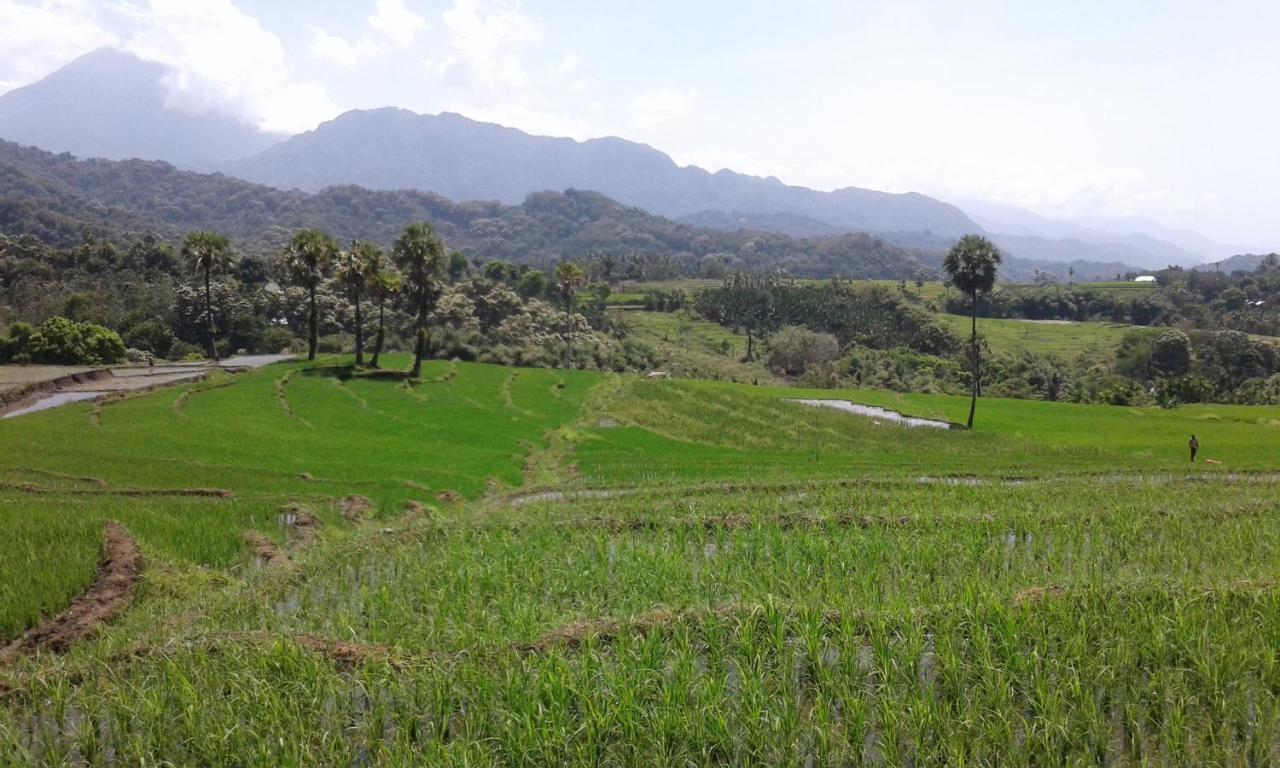 Kristian Homestay Bajawa 외부 사진